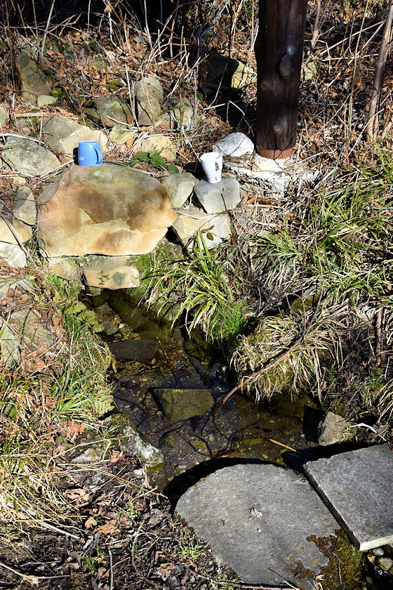 studánka Nad Dolním koutem (14280) - březen 2022