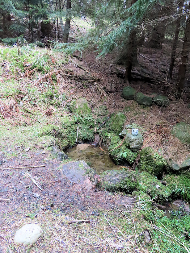 studánka U Taušlova mlýna (14295) - březen 2022