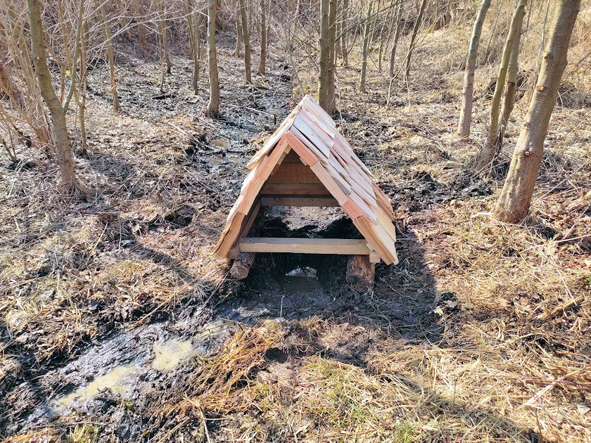 Bučkova studánka (14300) - březen 2022