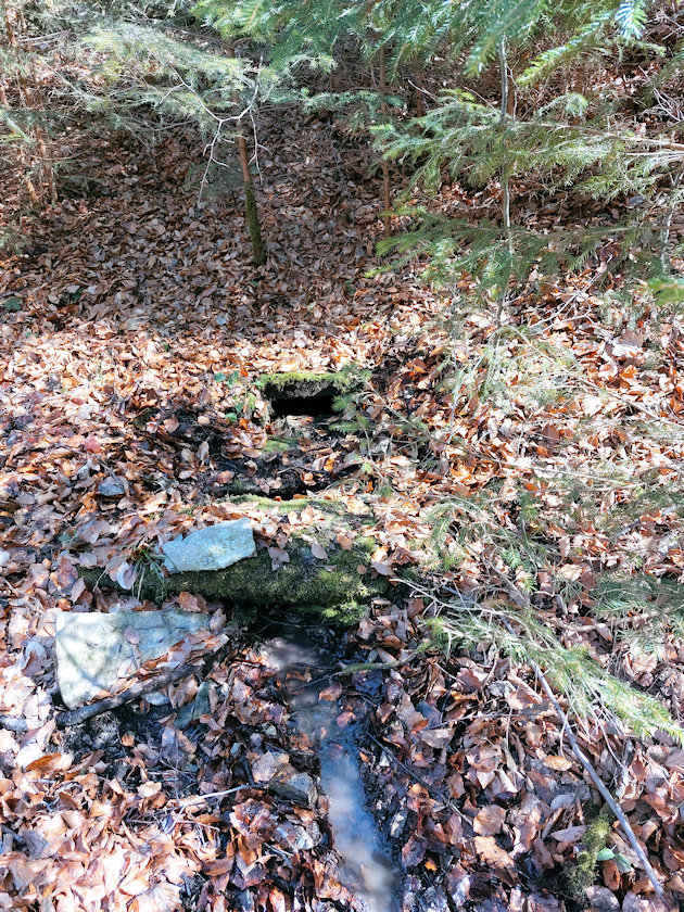 Štěpánkova studánka (14301) - březen 2022