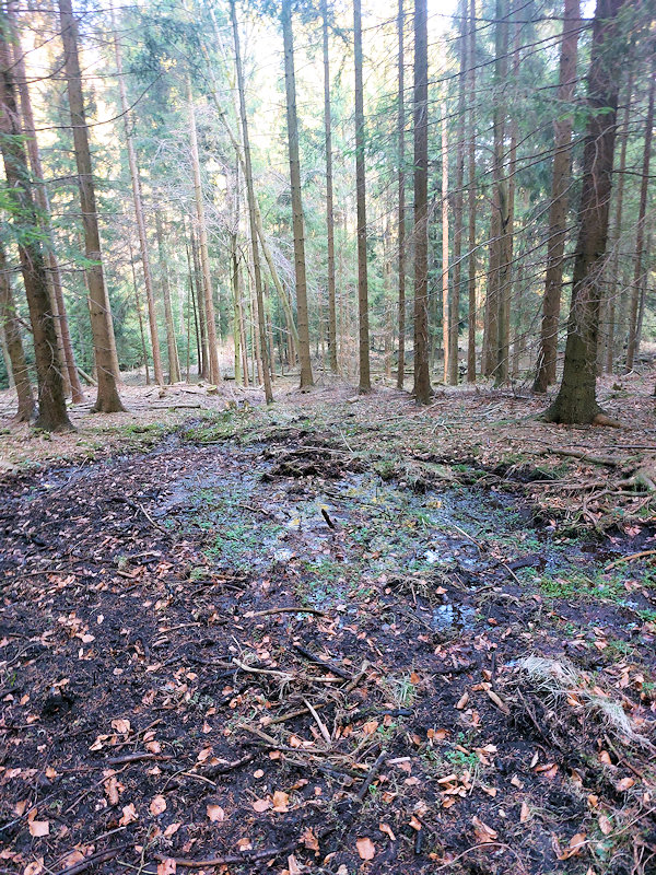 prameniště Nad hájenkou (14303) - březen 2022