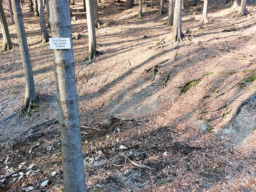 studánka Na Zadní stráni (14306) - březen 2022