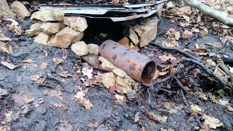 studánka Pod Buriánkou (14311) - duben 2022