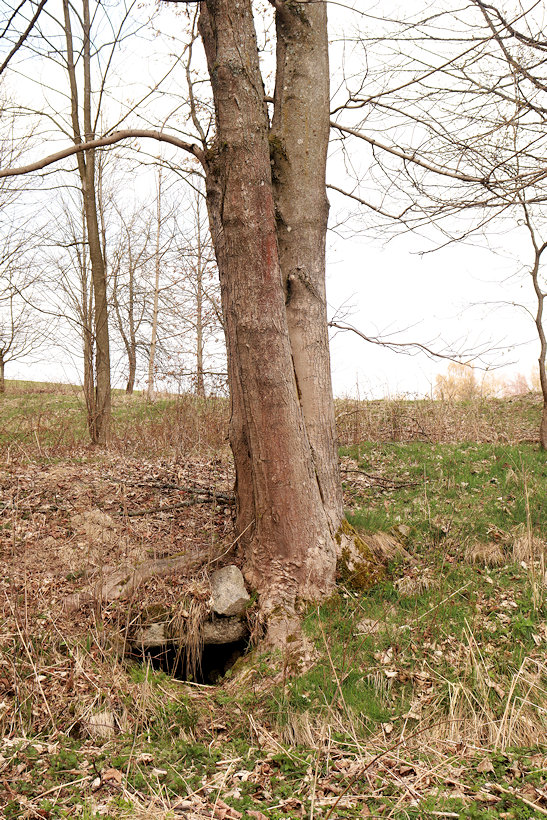 studánka bez jména (14328) - duben 2022