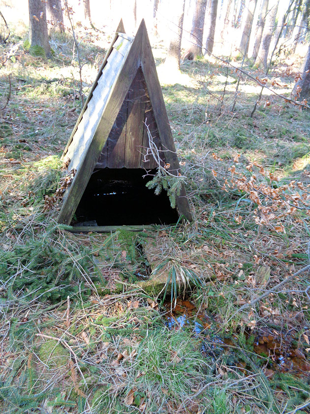 studánka bez jména (14333) - březen 2022