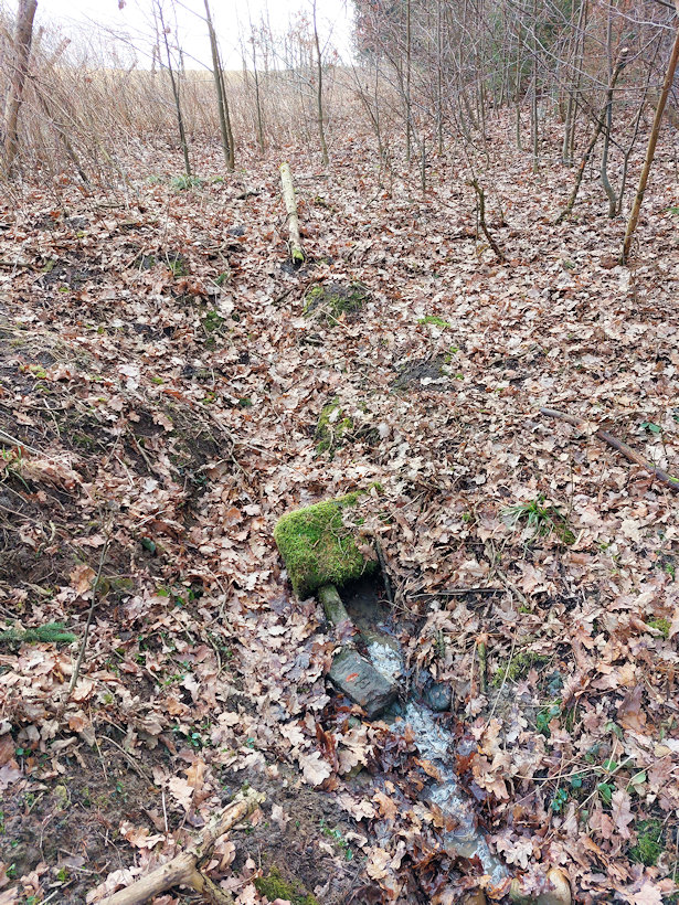 studánka U pískovny (14339) - březen 2022