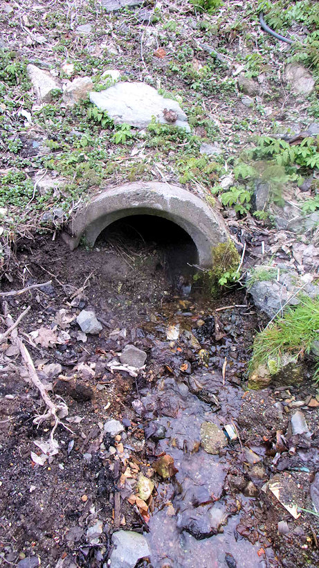 Průmyslová studánka (14342) - duben 2022