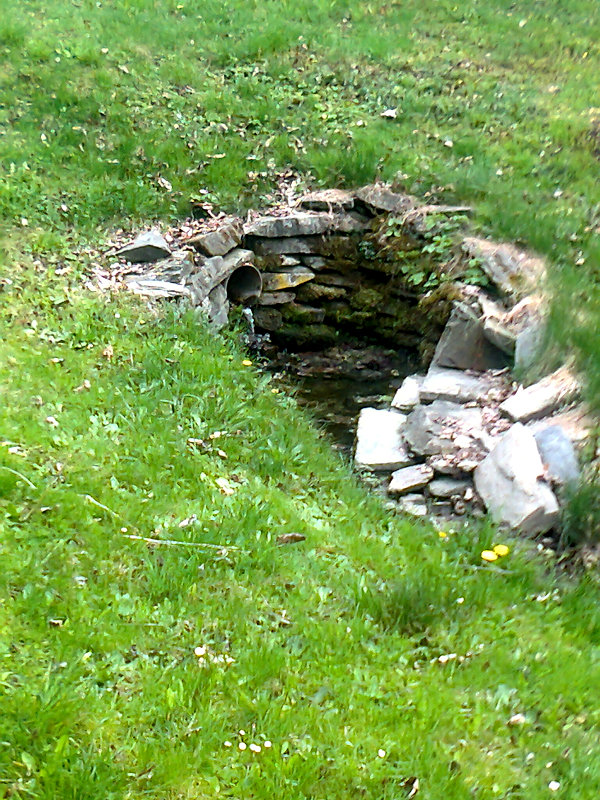pramen Rešovský potůček (14344) - srpen 2011