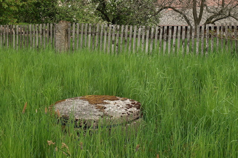 studánka bez jména (14357) - květen 2022
