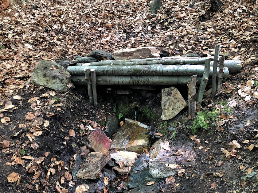 studánka Pod Jasankou (14376) - květen 2022