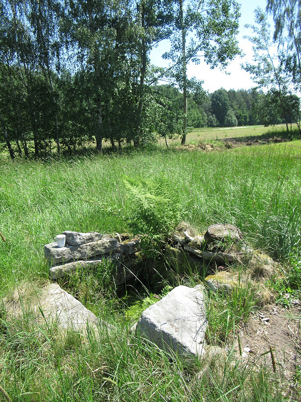 studánka U Halašova (14387) - červen 2022