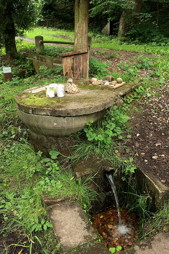 studánka V Hlásku (14390) - červen 2022