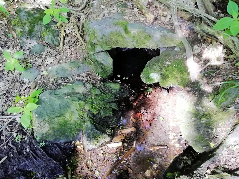 studánka Pod Kotolským vrchem (14449) - srpen 2022