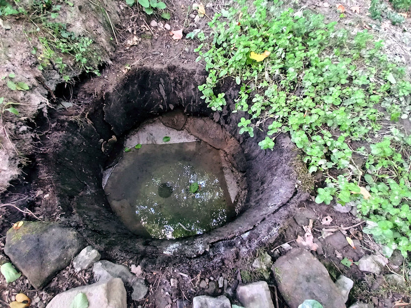 studánka U Malinů (14452) - červenec 2022