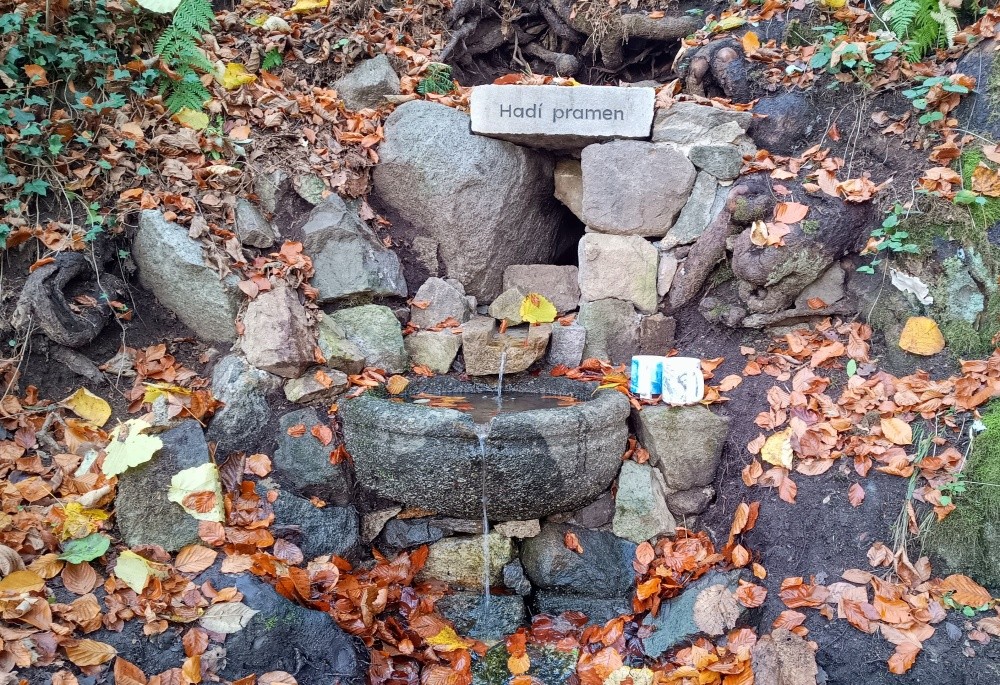 studánka Hadí pramen (14462) - listopad 2024