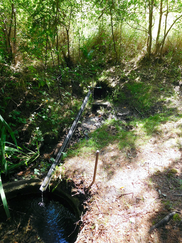 Neznašovská studánka (14466) - srpen 2022