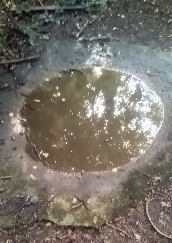 studánka V Beckově (14491) - srpen 2022