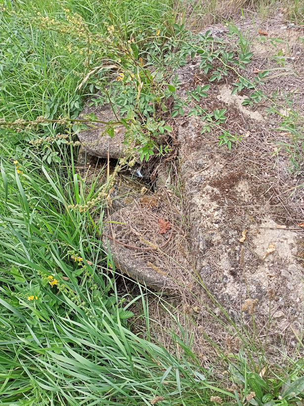 studánka bez jména (14499) - srpen 2022