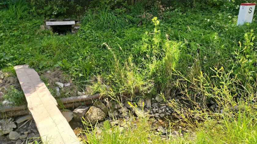 studánka Dešňanka (14509) - srpen 2022