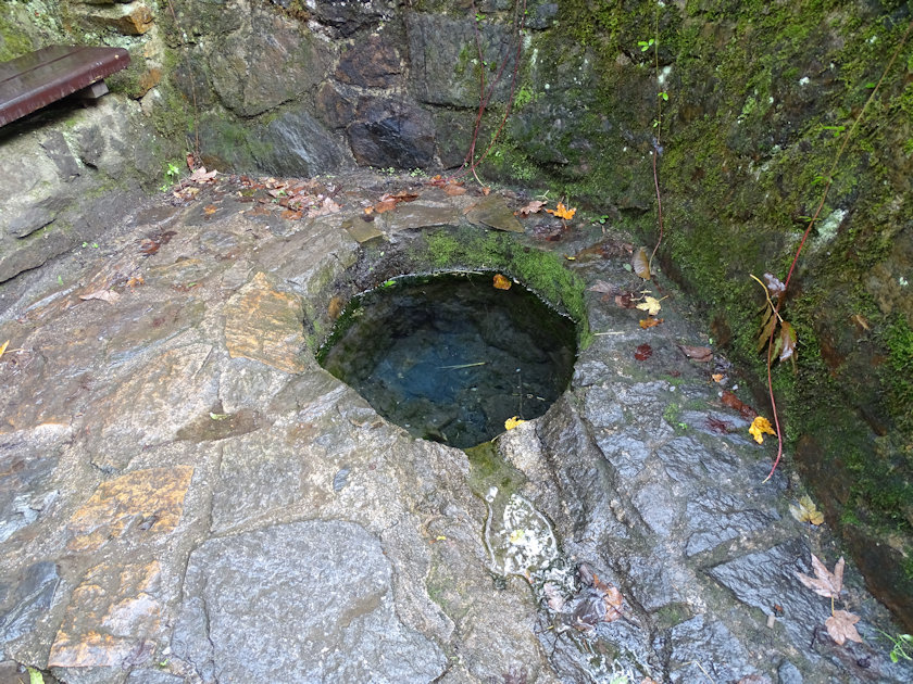 studánka Veronika (14534) - září 2022