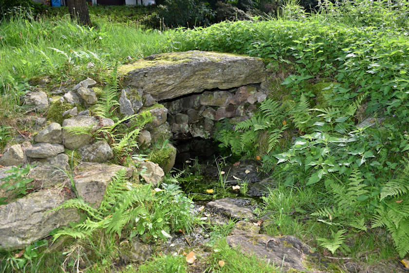 studánka bez jména (14540) - září 2022