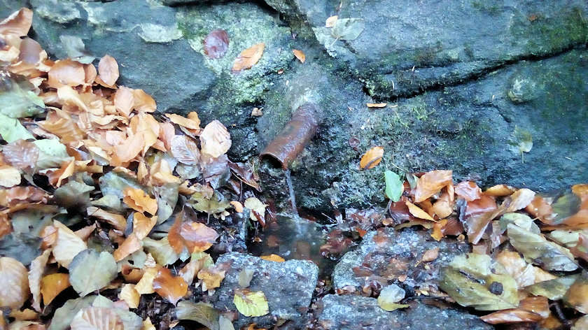 studánka Eleonorka (14554) - říjen 2022