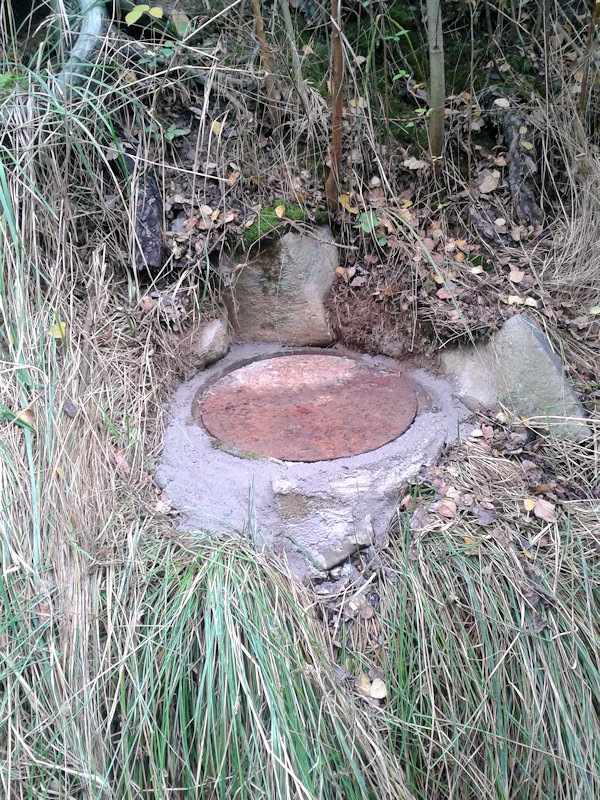 studánka Bláznův důl (14559) - březen 2012