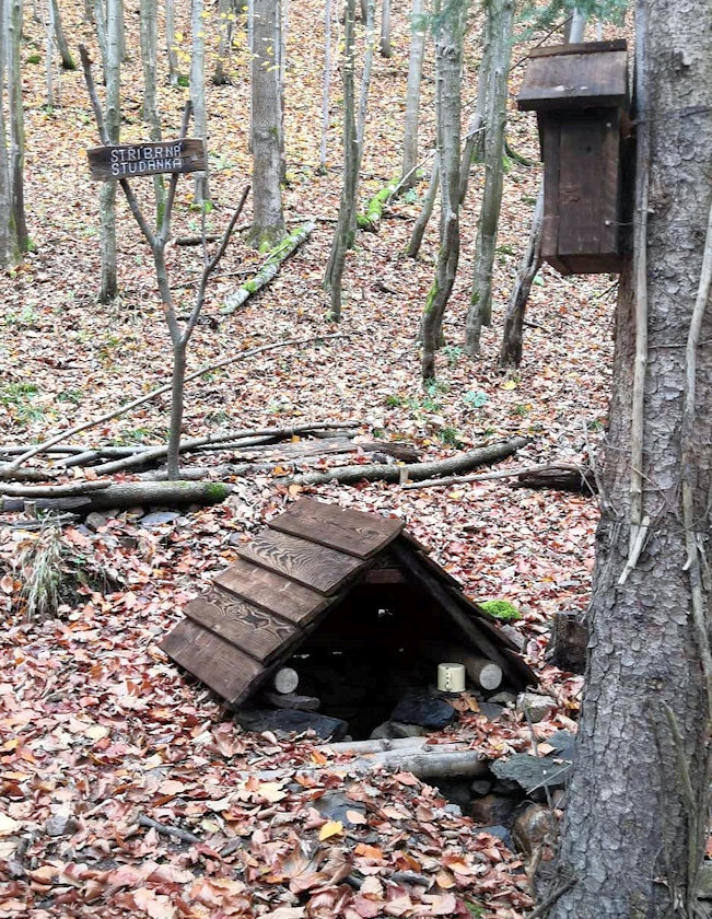 Stříbrná studánka (14565) - říjen 2022