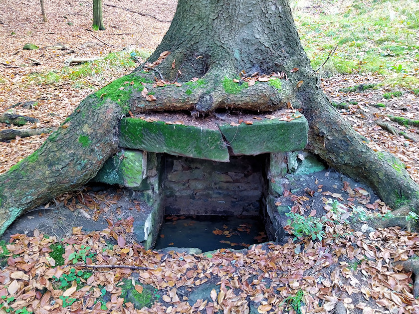 studánka Smrková (14569) - říjen 2022