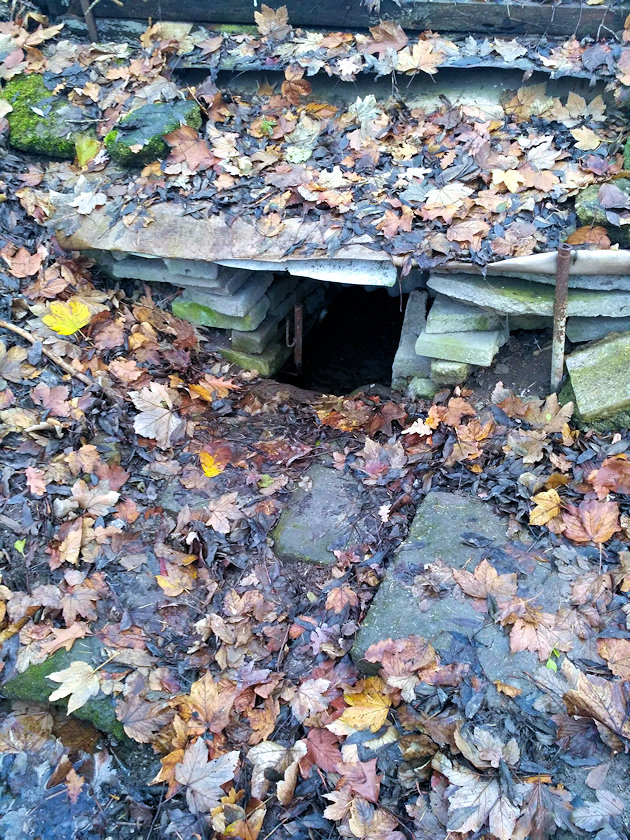 studánka U koupaliště (14596) - listopad 2022