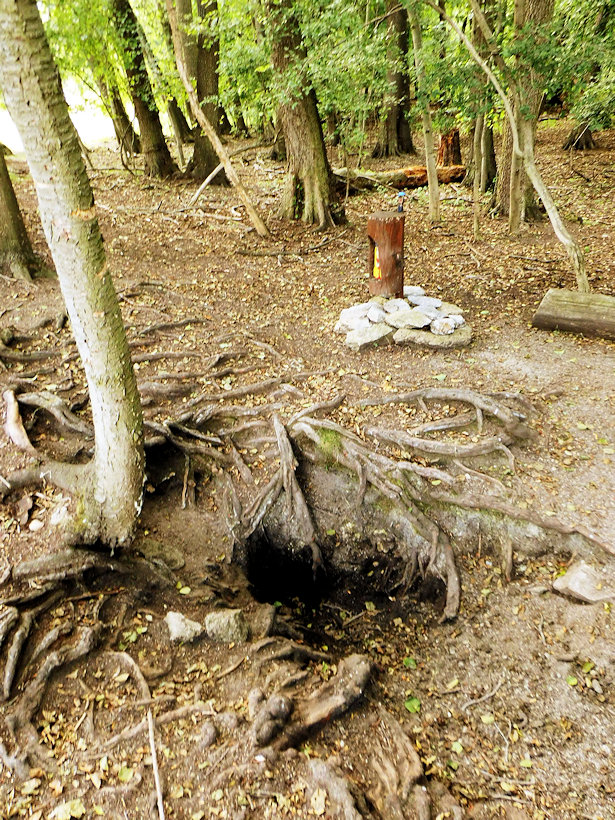studánka Víly Amálky (14612) - červenec 2022