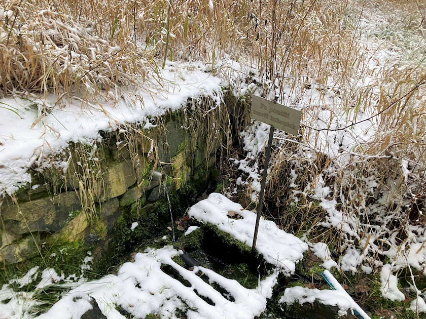 studánka bez jména (14621) - prosinec 2022