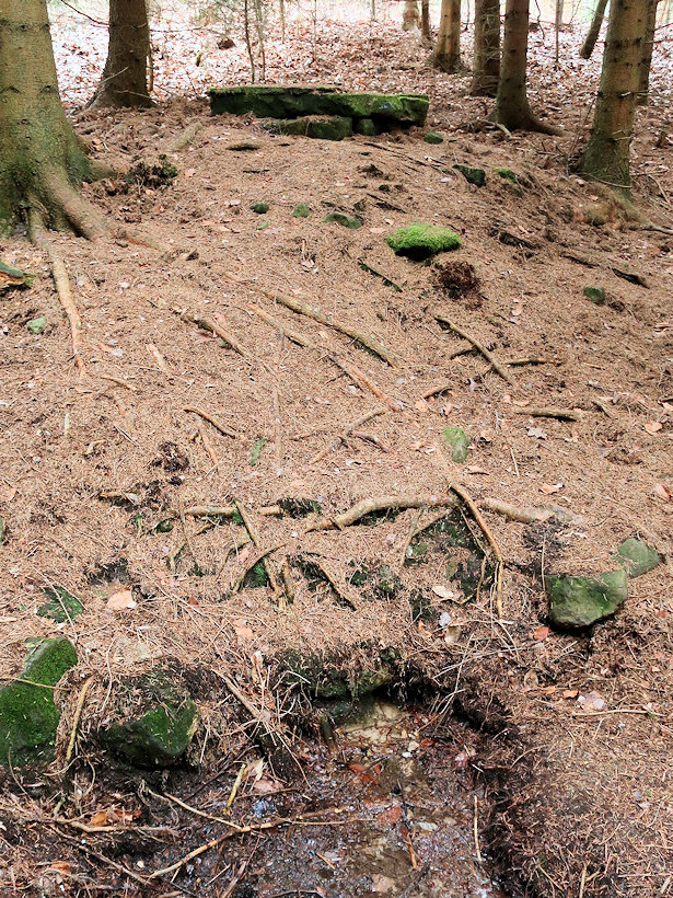 studánka bez jména (14652) - leden 2023