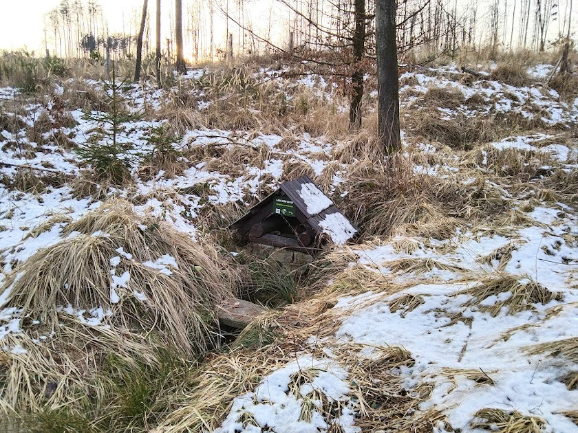 studánka U Huberta (14659) - únor 2023