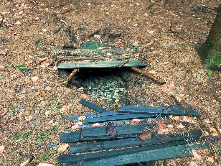 studánka U Olšáků (14680) - únor 2023