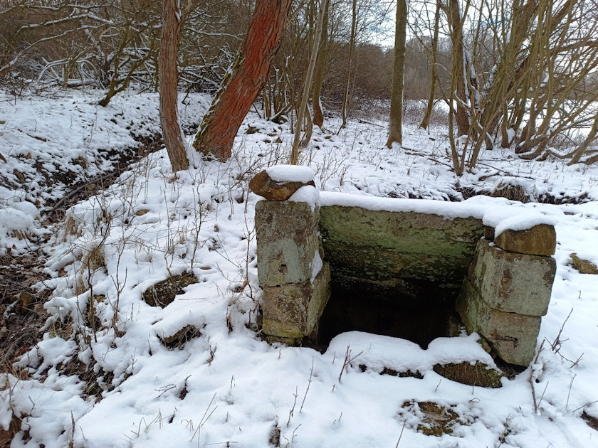 studánka Pod Pohádkovým lesem  (14681) - únor 2023