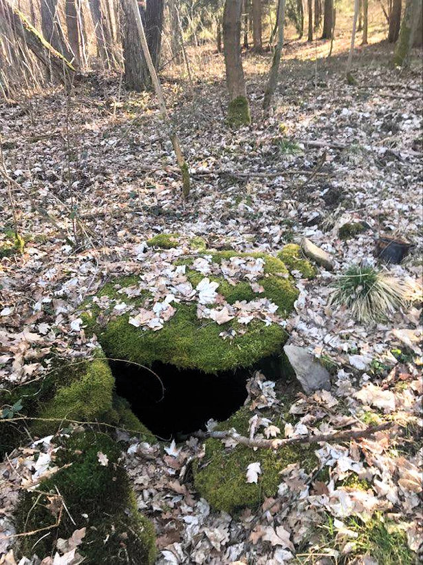 Skrytá studánka Coufalka (14709) - březen 2023