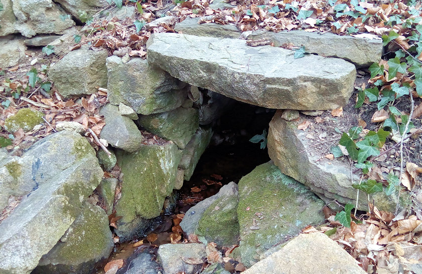 studánka Nad lesním rybníčkem (14721) - březen 2023