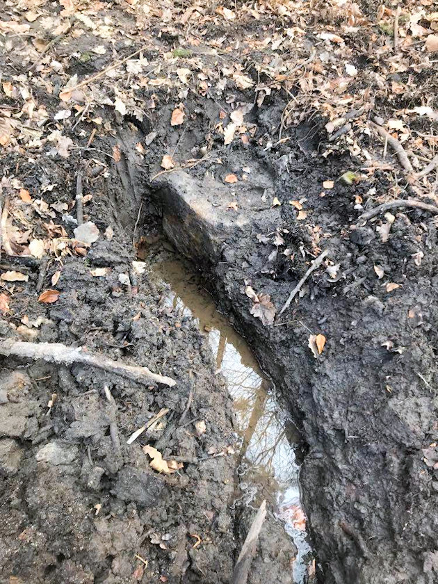 studánka Neznámá (14722) - březen 2023