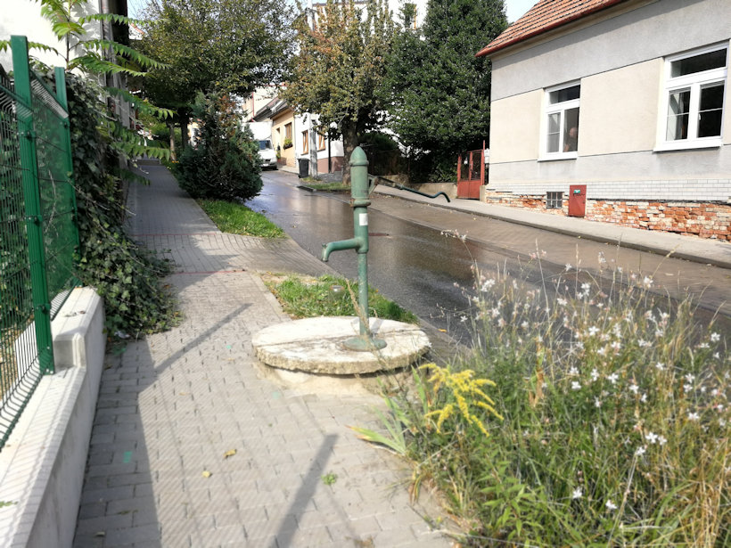 studna bez jména (14745) - září 2021