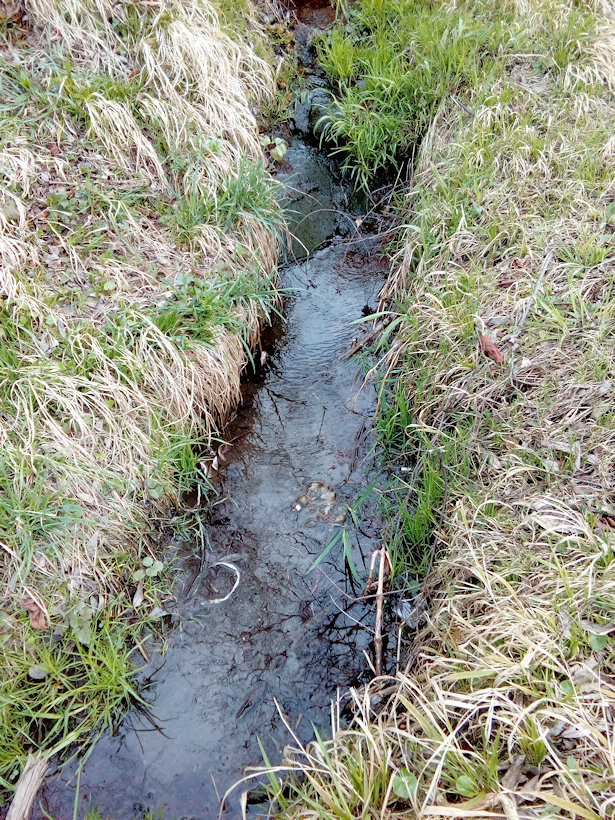 pramen Na Folvarku (14756) - duben 2023