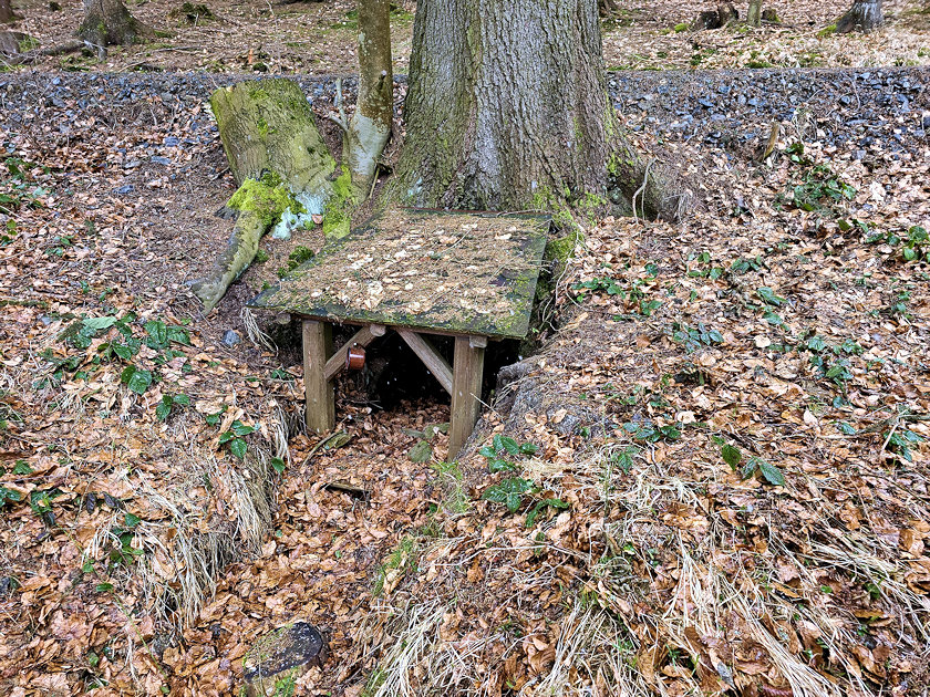 studánka bez jména (14757) - duben 2023