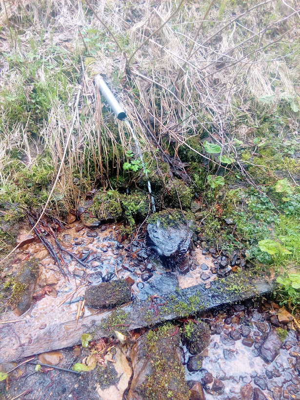 studánka Na vršku (14772) - duben 2023