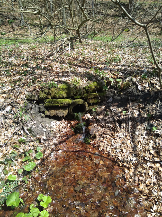 studánka Pod Bystrým vodopádem (14791) - květen 2023