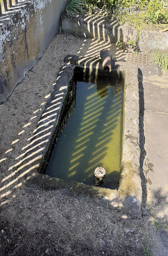 studánka Pod Lavičkou (14792) - květen 2023