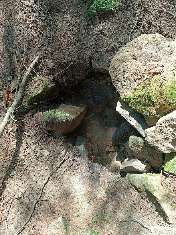Zajíčkova studánka  (14797) - květen 2023