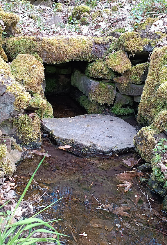 studánka bez jména (14799) - květen 2023