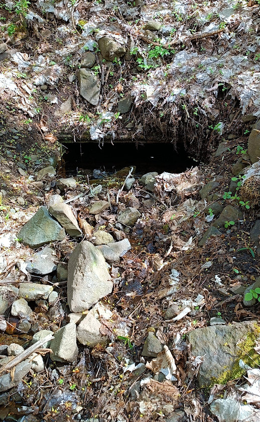 studánka bez jména (14800) - květen 2023