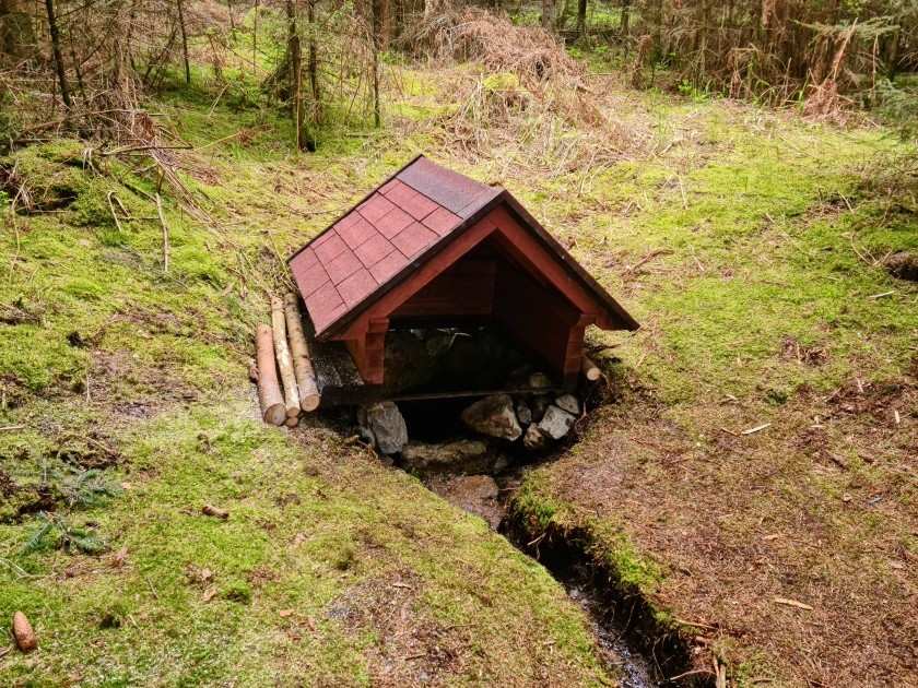 studánka Pod Bambulí (14816) - květen 2023