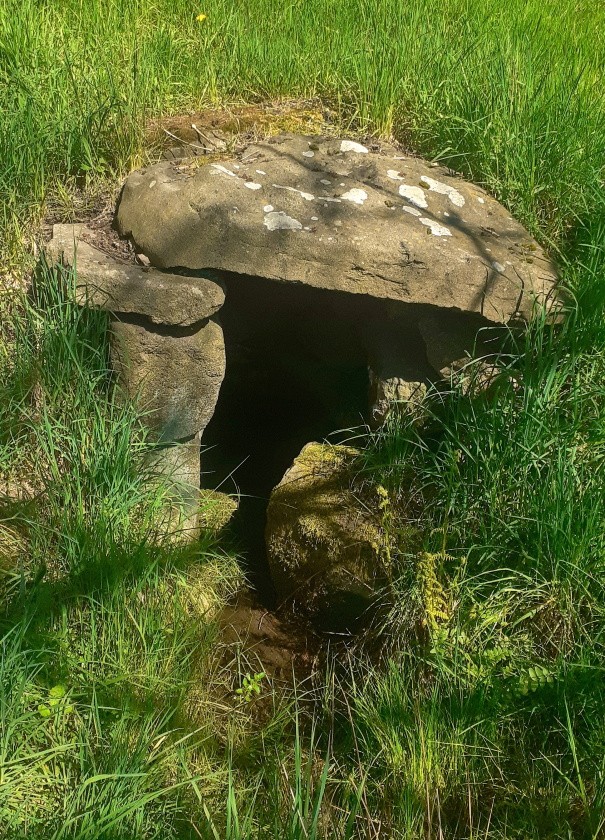 studánka bez jména (14818) - květen 2023